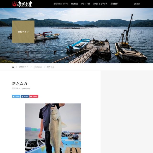 【地域の求人難を打破】
「片田舎の会社」が求人なしで新入社員を獲得した”たった一つの理由”

「地方は応募がない」「若者は都会志向だ」――。

地域の事業者様から、採用活動の難しさについて多くのご相談をいただきます。

求人サイトに多額の費用をかけても、なかなか応募が集まらないのが現状ではないでしょうか。

しかし、その常識を覆す驚きの事例が愛媛県で生まれました。

今回は、愛媛県西予市の養殖業者である赤坂水産有限会社様の事例をご紹介しながら、地域の事業者様が今日からできる、最高の採用ブランディング手法について解説します。

衝撃の事例：「求人なし」から高校生が逆アプローチ！

通常、新卒採用といえば、高校やハローワークへの求人票提出や、大手求人媒体への掲載が一般的です。

しかし、赤坂水産様はそれらすべてを行わず、新入社員の獲得に成功しました。

赤坂水産様の事例
採用活動： 活魚運搬車の運転業務を想定し、自社サイトのみで社会人を対象に告知。地元の高校にも求人は出していませんでした。

結果： 外部の求人サイトに費用を一切かけず、数名からの問い合わせがあり、この春、18歳の新卒社員（高校卒業）を採用。

驚きの応募動機： その新入社員は、赤坂水産へ自ら電話をかけ「貴社に就職したいので、高校に求人を出してもらえませんか？」と逆オファー。

きっかけ： 彼が高校時代から見ていたのは、魚の処理技術に関するある有名なYouTubeチャンネルでした。赤坂水産様は、そのチャンネルと連携・情報発信をしていたことで、彼の目に留まったのです。

結論： 会社の規模や立地ではなく、「熱意ある若者が日頃から慣れ親しんでいるメディアで、仕事の魅力を発信していたこと」が、最高の採用効果を生み出しました。

この事例が示す真実
この事例は、地方の企業でも「魚に触れたい」「技術を学びたい」という熱意ある若者は確実に存在すること、そして、企業が発信する情報が、地域の壁、業界の壁を越えて、未来の仲間を呼び寄せる「架け橋」になることを証明しています。

情報発信は、単なる広報ではなく、未来の仲間に対する最高の「共感を呼ぶ活動」なのです。

今日から始める情報発信で、地域の魅力を再構築する

いますぐ見直してほしい3つの視点

1. ターゲットが使うメディアを選ぶ
若者を採用したいなら、YouTube、TikTok、Instagramを無視しない。自社の技術や日々の工夫を、スマホで短く動画にしてアップする。

2. 働く「楽しさ」と「課題」の両方を出す
ただ綺麗な写真だけを出すのではなく、「この商品を作るのに、こんな工夫と苦労があった」「今日はこんな失敗をした」というリアルなストーリーを語ることで、共感が生まれます。

3. 仕事の「価値」を再定義する
「重労働」ではなく「地域の食を守る仕事」、「事務作業」ではなく「お客様の笑顔を支える仕事」など、仕事を通じて提供している社会的な価値を発信する。

次の一歩を踏み出すあなたへ：情報発信セミナー録画配信のご案内

「何をどう発信すればいいか分からない」「SNS運用に時間を割けない」という事業者様のために、弊協議会では、地域の事業者が成果を出すための情報発信ノウハウを凝縮したセミナーを開催しております。

赤坂水産様の事例のように、情報発信をコストではなく、未来の投資として捉え、地域を活性化させる仲間を呼び込むための具体的な手法を学んでみませんか？